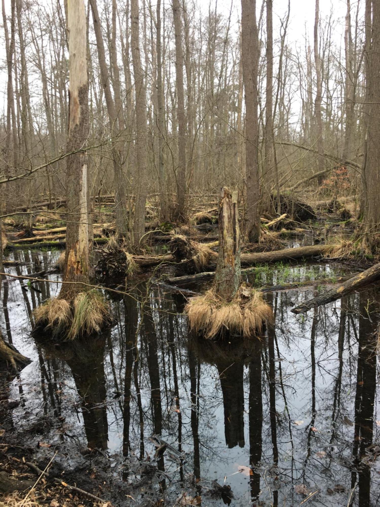 Ostseeruhe Gelbensande Exteriér fotografie